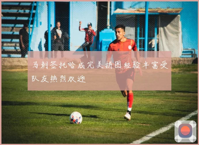 马刺签托哈成完美拼图经验丰富受队友热烈欢迎